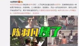 阿伟爆料消息视频播放时间,揭秘神秘事件播放时长背后的秘密